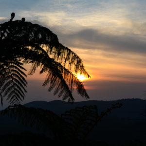 Levé de soleil aux Horton Plains