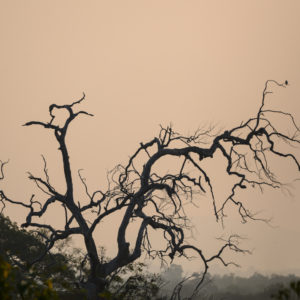 Aube sur le parc d'Udawalawe